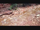 【感動・心の旅アーカイブ】セドナで遭った奇跡の泉_SedonaVTR201303