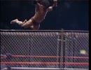 ジミー・スヌーカ VS ドン・ムラコ 83年10月17日 WWF