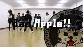 【踊くま】Bad Apple!!【踊ってみた】