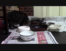 こんしゅうのおやつ【蒼民家の猫々】