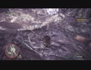 【MHW初見】心優しきほとけが降り立つモンハンワールド：09終【実況】