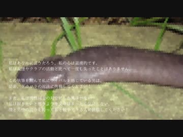 コックバトルビッグブラザーズ(再翻訳チンポバトル兄貴達)