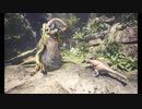 ＭＨＷを徹底攻略実況02：ドスジャグラス徹底解析！