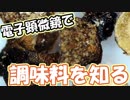 よく使う調味料を顕微鏡で拡大してみた