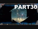 ゼルダの伝説 初見 of the Wild 実況part30