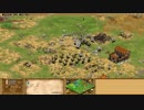 【AOC】10年以上前の4v4対戦リプレイを解説もどきをしつつ眺める Part10
