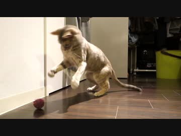 【モアクリ】 ボール遊びとプレッシャー