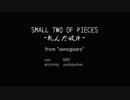 ゼノギアス SMALL TWO OF PIECES ～軋んだ破片～ acoustic cover