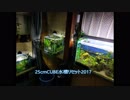 【アクアリウム】25cm水槽リセット＆立ち上げ【ダイジェスト】