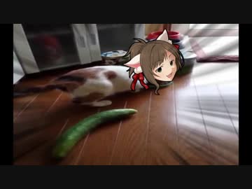 きゅうりにびっくりする前川みく