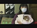 テン​テ​ンコ - ツイキャス [2015-12-21]