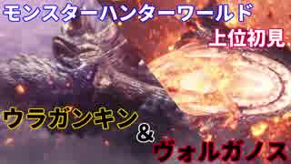 #4[MHW]片手剣使いが上位をソロで制する［初見実況］