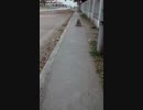 a walk to the mall