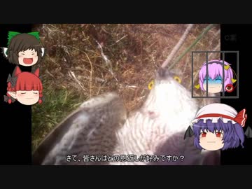 ゆっくり農民76畑を拓いてみませんか？#17