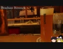 【ゆっくり】タビノススメ　西ドイツ周遊一人旅【第九夜】