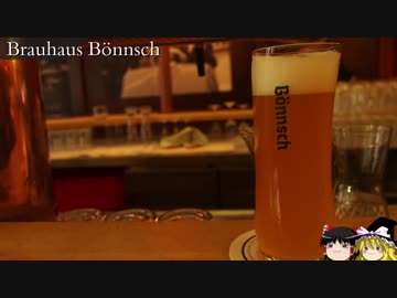 【ゆっくり】タビノススメ　西ドイツ周遊一人旅【第九夜】