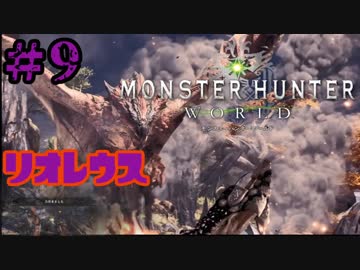 ついに俺も！【空の王者とご対面！！】実況プレイpart9