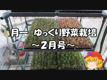 月一 ゆっくり野菜栽培 Part7