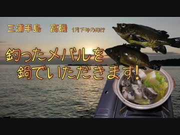 釣ったメバルを鍋でいただきます！