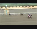2018年2月22日大井競馬6R C2-七・八・九 ストーミースター