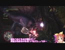 【MH:W】命燃やして狩りせよウサミン　その５