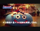 猫の日【星ドラ】ネコ勇者たちが冒険してみた [猫動画]