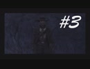 ステルスの方が好みじゃな -Call of Juarez- #3