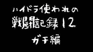 ハイドラ使われの戦闘記録12