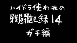 ハイドラ使われの戦闘記録14