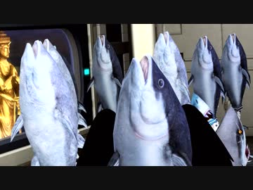 【PSO2】ブルブルクソマグロ【バグ】