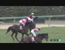 2018年　第92回 中山記念（GⅡ）【ウインブライト】