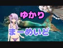 【PUBG】リトルマップちゃん【マップちゃん】