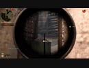 ペリカンのCOD:WW2実況プレイ 23【WAR】