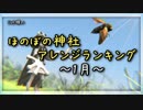 月間ほのぼの神社アレンジランキング.SWK 18年1月