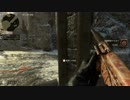 ペリカンのCOD:WW2実況プレイ 25【WAR】