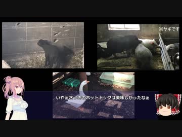 ささらと初心者三十路ライダーの旅【宮ケ瀬編】