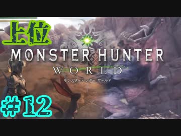 ついに俺も【上ジャナフ】MHW実況プレイpart12