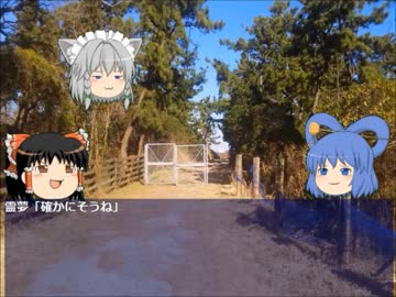 行き当たりばったりミステリー１１【高尾山アリス銃殺事件】