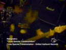 Malignancy - Cross Species Transmutation【PV】