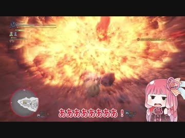 狩り２