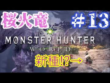 ついに俺も【リオレイア亜種】MHW実況プレイpart13