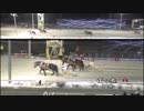 第39回チャンピオンカップ オレノココロ