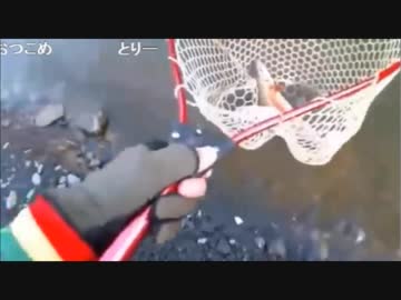 2.26 【魚釣り】管釣り