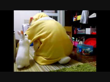 うさぎかたにのる