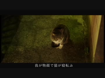 猫の街 / 心華 - 青屋夏生