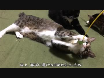 【こげつく】コンテスト受賞のお知らせ