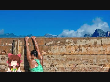 最後まで諦めきれない神社