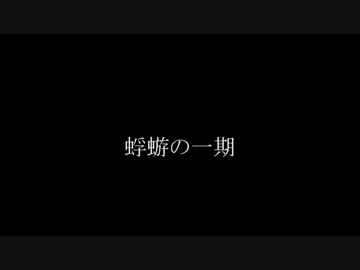 蜉蝣の一期 / COOLOOK from.GEEK SKOOL