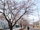 ニコニコバーへの道9　新しい靴で西東京いこいの森へ