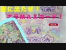 勇者の暇潰し☆アイドルタイムプリパラプリチケコレクショングミ１７！！